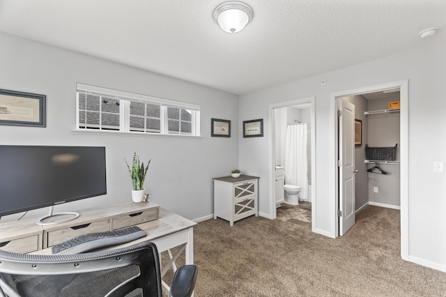 7558 Woods Edge Blvd, Lino Lakes, MN 55014 - carpeted office space featuring baseboards and a textured ceiling