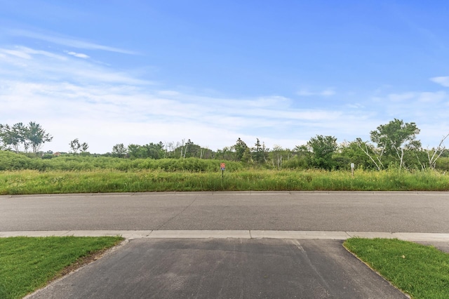 7558 Woods Edge Blvd, Lino Lakes, MN 55014 - view of asphalt road