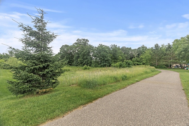 7558 Woods Edge Blvd, Lino Lakes, MN 55014 - view of street