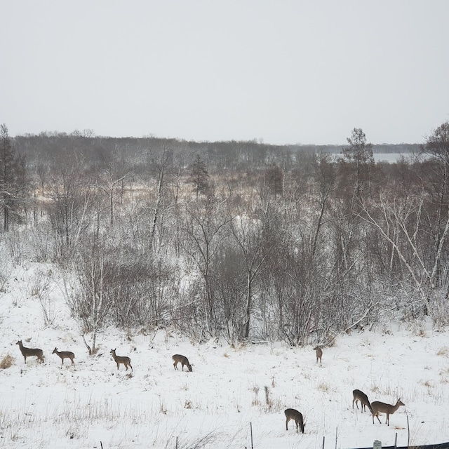 7558 Woods Edge Blvd, Lino Lakes, MN 55014 - view of mountain background featuring rural landscape