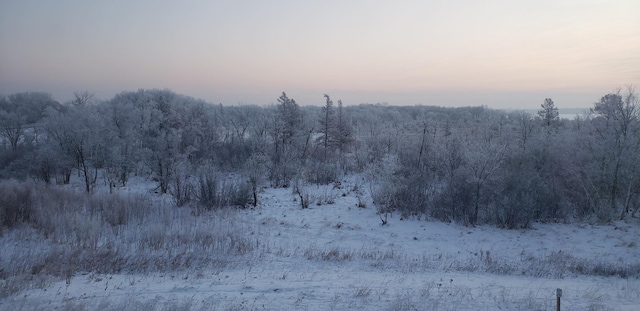 7558 Woods Edge Blvd, Lino Lakes, MN 55014 - snowy landscape with a view of trees