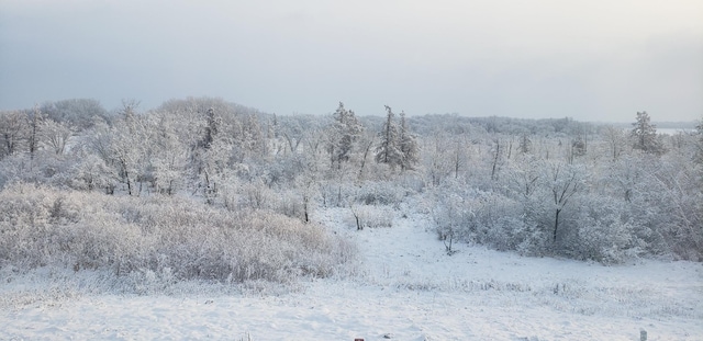 7558 Woods Edge Blvd, Lino Lakes, MN 55014 - view of snow covered land with a wooded view