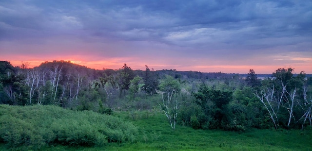 7558 Woods Edge Blvd, Lino Lakes, MN 55014 - view of mountain background with a heavily wooded area