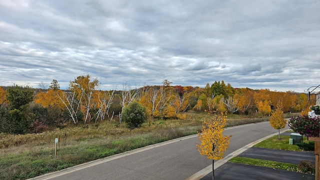 7558 Woods Edge Blvd, Lino Lakes, MN 55014 - view of asphalt street with a wooded view