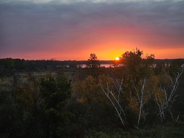 7558 Woods Edge Blvd, Lino Lakes, MN 55014 - view of local wilderness