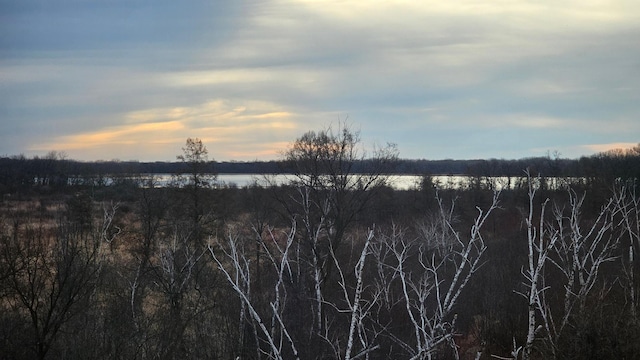 7558 Woods Edge Blvd, Lino Lakes, MN 55014 - view of local wilderness