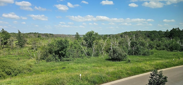 7558 Woods Edge Blvd, Lino Lakes, MN 55014 - mountain view featuring a heavily wooded area