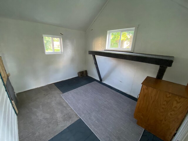 108 20th St S, Benson, MN 56215 - unfurnished bedroom with vaulted ceiling and carpet floors
