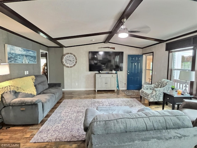13648 Campfire Cir, South Haven, MN 55382 - living room featuring wood finished floors and a ceiling fan
