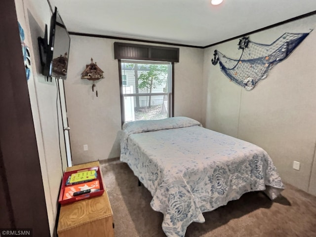13648 Campfire Cir, South Haven, MN 55382 - carpeted bedroom with ornamental molding