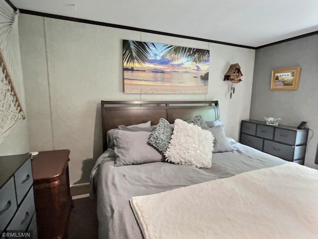 13648 Campfire Cir, South Haven, MN 55382 - bedroom featuring crown molding