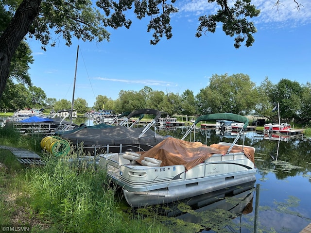 13648 Campfire Cir, South Haven, MN 55382 - dock with a water view and view of wooded area