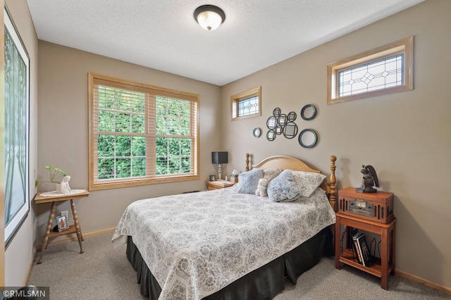 6831 Centerville Rd, Centerville, MN 55038 - carpeted bedroom featuring baseboards and a textured ceiling