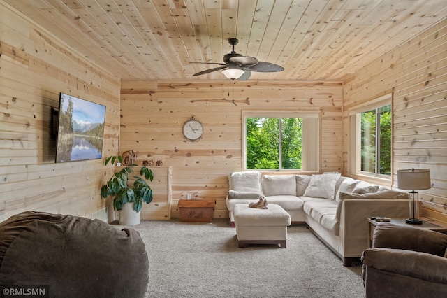 6831 Centerville Rd, Centerville, MN 55038 - carpeted living room featuring plenty of natural light, wooden walls, wooden ceiling, and ceiling fan