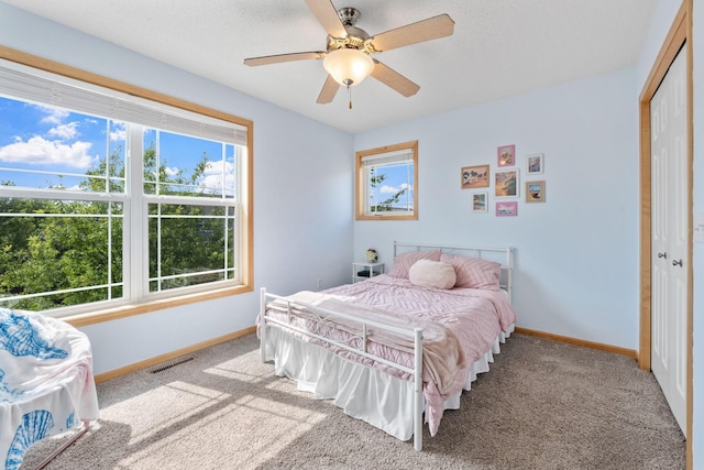 14579 Olivine St NW, Ramsey, MN 55303 - photo 20