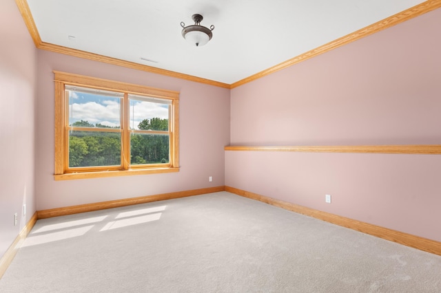 54185 232nd Ave, West Concord, MN 55985 - photo 39