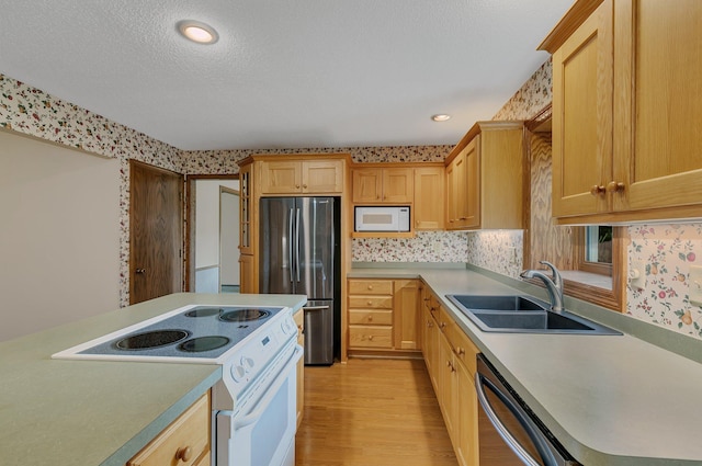 1044 Borgert Ave, Saint Cloud, MN 56303 - kitchen with white appliances, light wood finished floors, wallpapered walls, light countertops, and light brown cabinetry