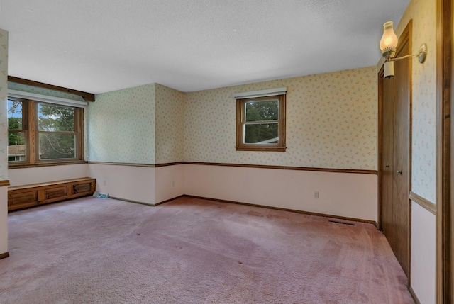 1044 Borgert Ave, Saint Cloud, MN 56303 - spare room with carpet, healthy amount of natural light, and wallpapered walls