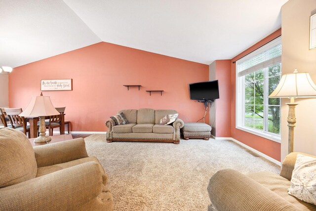 2209 Longhorn Ln, Buffalo, MN 55313 - photo 5