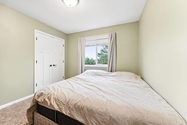 2209 Longhorn Ln, Buffalo, MN 55313 - photo 13