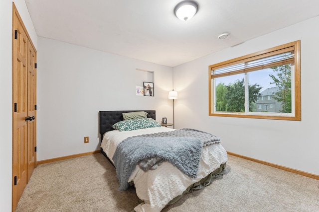 2209 Longhorn Ln, Buffalo, MN 55313 - photo 20