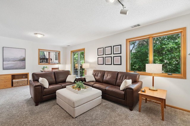 547 Hawthorn Rd, Lino Lakes, MN 55014 - photo 17