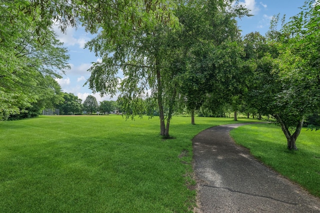 547 Hawthorn Rd, Lino Lakes, MN 55014 - photo 39