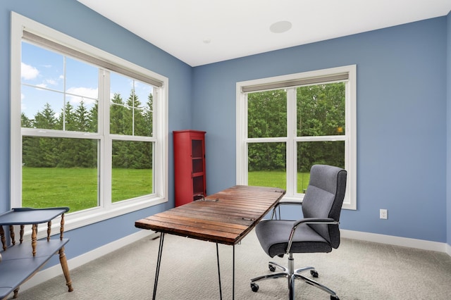 4965 250th St, Elko New Market, MN 55020 - office featuring carpet and plenty of natural light