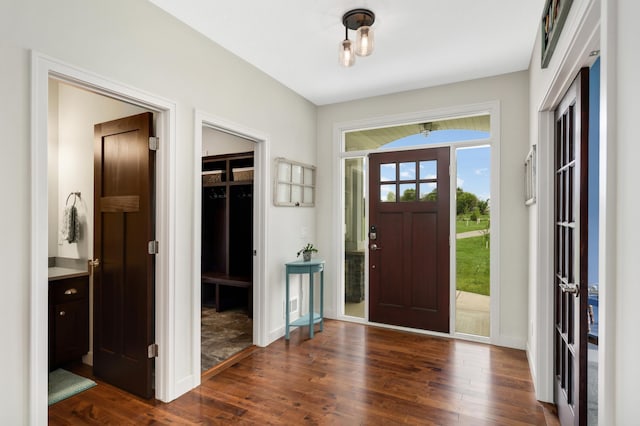 4965 250th St, Elko New Market, MN 55020 - foyer featuring dark wood-style floors and baseboards