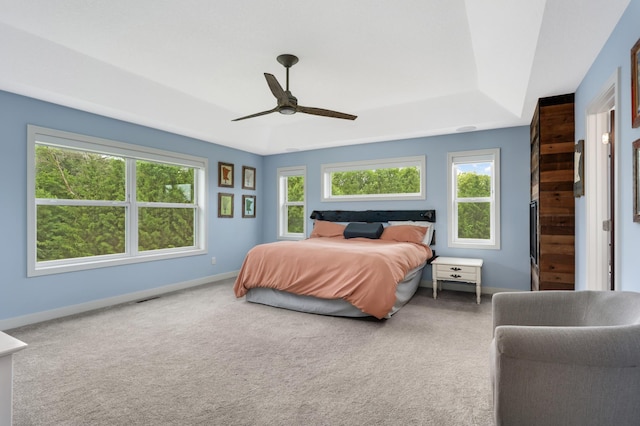 4965 250th St, Elko New Market, MN 55020 - carpeted bedroom with a raised ceiling and a ceiling fan