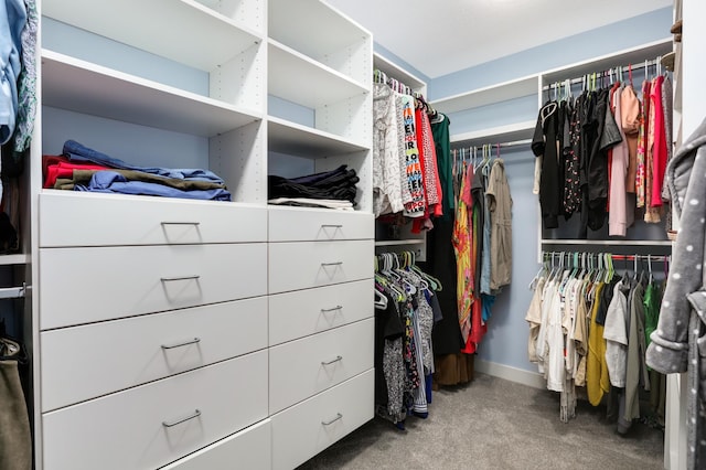 4965 250th St, Elko New Market, MN 55020 - spacious closet with carpet flooring