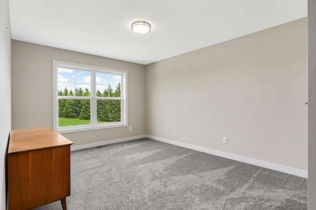 4965 250th St, Elko New Market, MN 55020 - carpeted spare room with baseboards