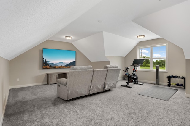 4965 250th St, Elko New Market, MN 55020 - carpeted cinema room featuring vaulted ceiling and baseboards