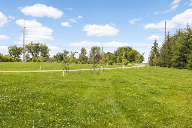 4965 250th St, Elko New Market, MN 55020 - view of grassy yard