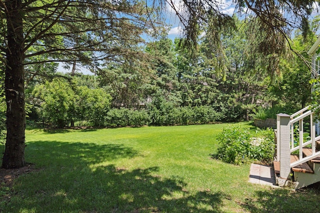 10636 Purdey Rd, Eden Prairie, MN 55347 - view of green lawn