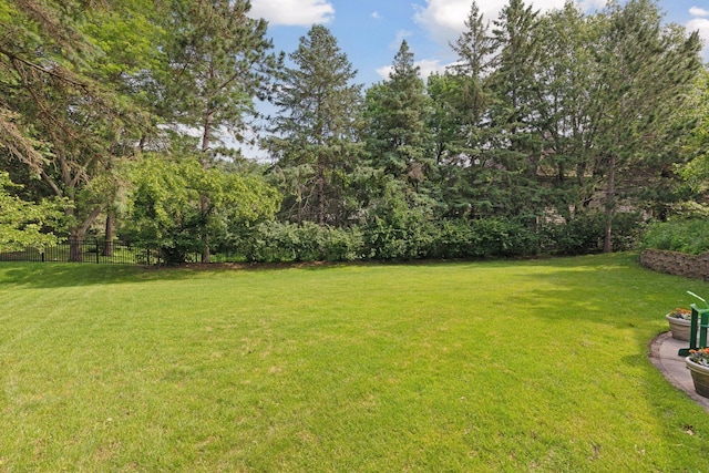 10636 Purdey Rd, Eden Prairie, MN 55347 - view of yard