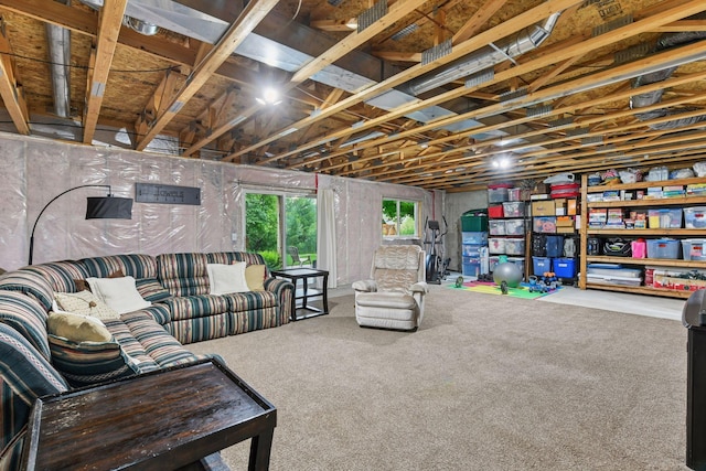 2061 Langston Ln NE, Saint Michael, MN 55376 - living area with carpet floors