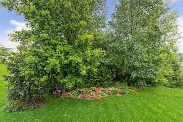 2061 Langston Ln NE, Saint Michael, MN 55376 - view of grassy yard
