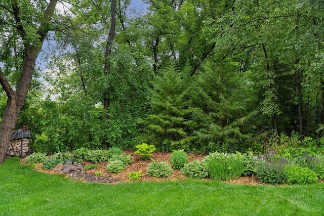 2061 Langston Ln NE, Saint Michael, MN 55376 - view of grassy yard