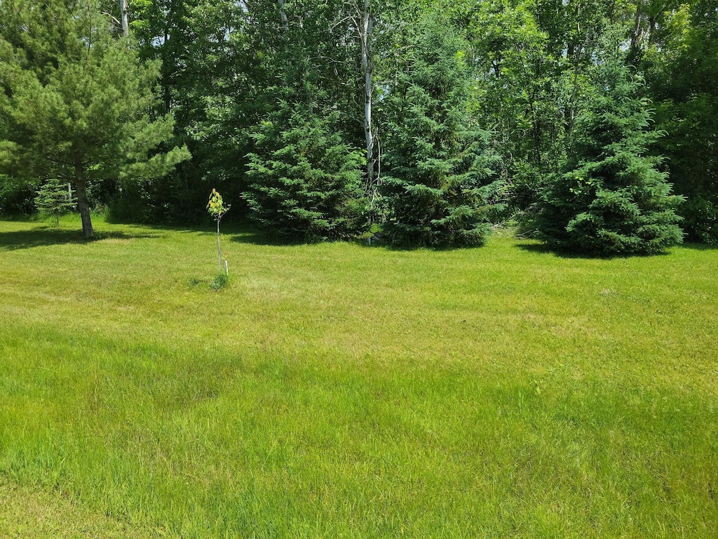 TBD Little Elk Dr, Randall, MN 56475