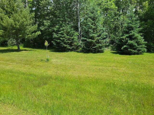 TBD Little Elk Dr, Randall, MN 56475