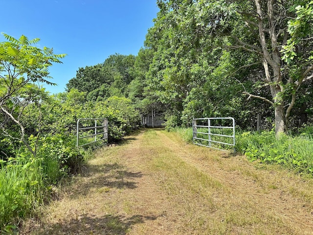 45568 213th Ln, Aitkin, MN 56431 - view of yard with a gate and a wooded view