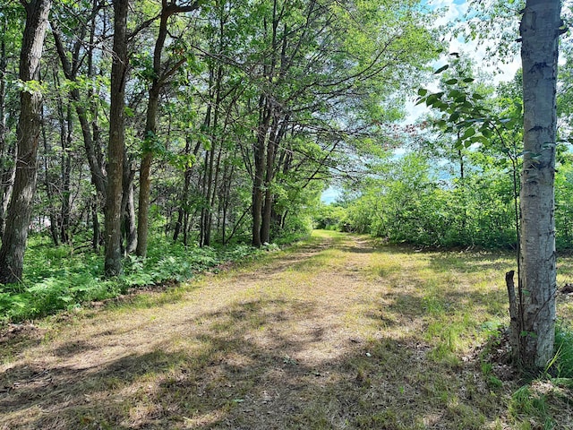 45568 213th Ln, Aitkin, MN 56431 - view of yard featuring a wooded view