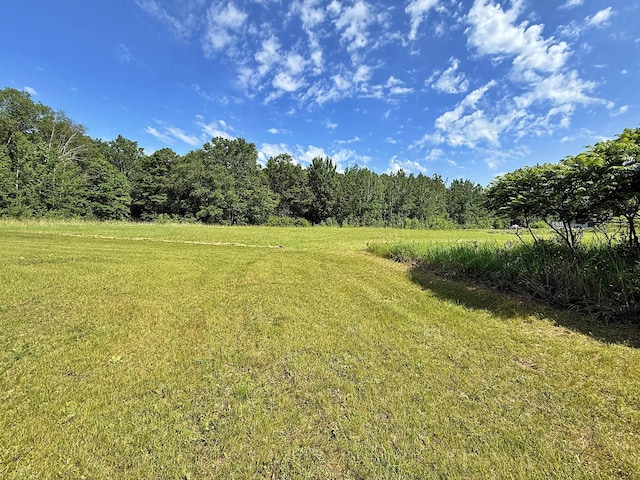45568 213th Ln, Aitkin, MN 56431 - view of green lawn with a wooded view