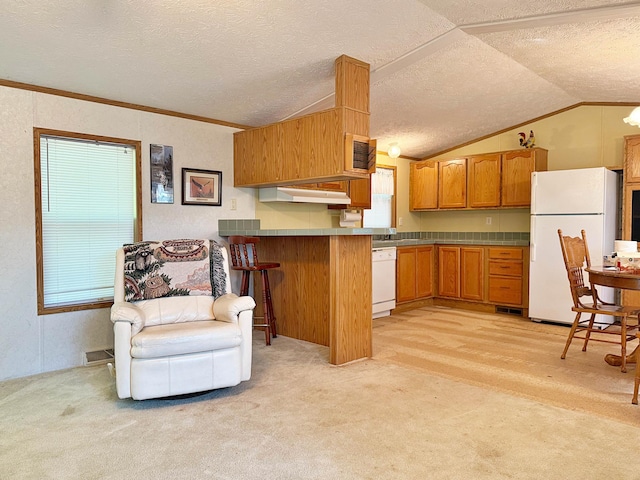 45568 213th Ln, Aitkin, MN 56431 - kitchen with white appliances, vaulted ceiling, light colored carpet, a peninsula, and under cabinet range hood