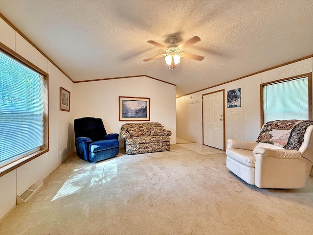 45568 213th Ln, Aitkin, MN 56431 - living room featuring ornamental molding, a ceiling fan, carpet floors, a textured ceiling, and lofted ceiling