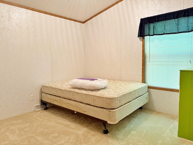 45568 213th Ln, Aitkin, MN 56431 - carpeted bedroom with ornamental molding and a textured wall