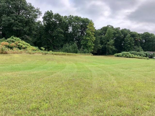 45568 213th Ln, Aitkin, MN 56431 - view of green lawn