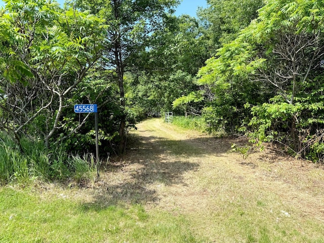45568 213th Ln, Aitkin, MN 56431 - view of local wilderness