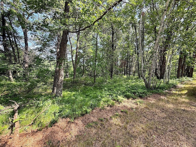 45568 213th Ln, Aitkin, MN 56431 - view of woods
